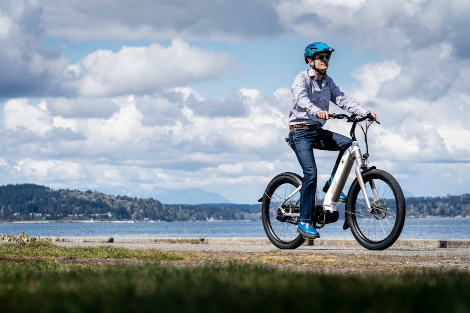 Moteur panasonic 26v : moteur panasonic 26v pour e-bike