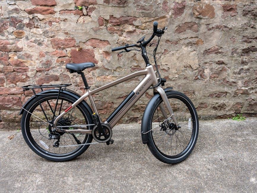 Batterie plomb 12V Acedis : élément vélo électrique