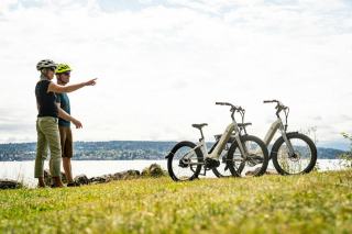 Batterie panasonic 36v 12ah pour vélo électrique bh émotion : gui