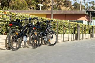 Batterie easybike 36v : batterie easybike 36v pour e-bike