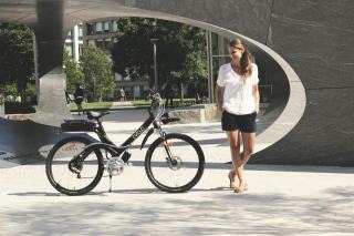 Batterie Giant Suede NiMH 24V 9Ah pour vélo électrique