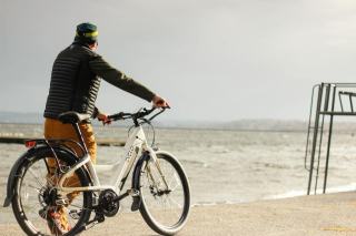 Batterie BH E-Motion 36V 8Ah pour vélo électrique