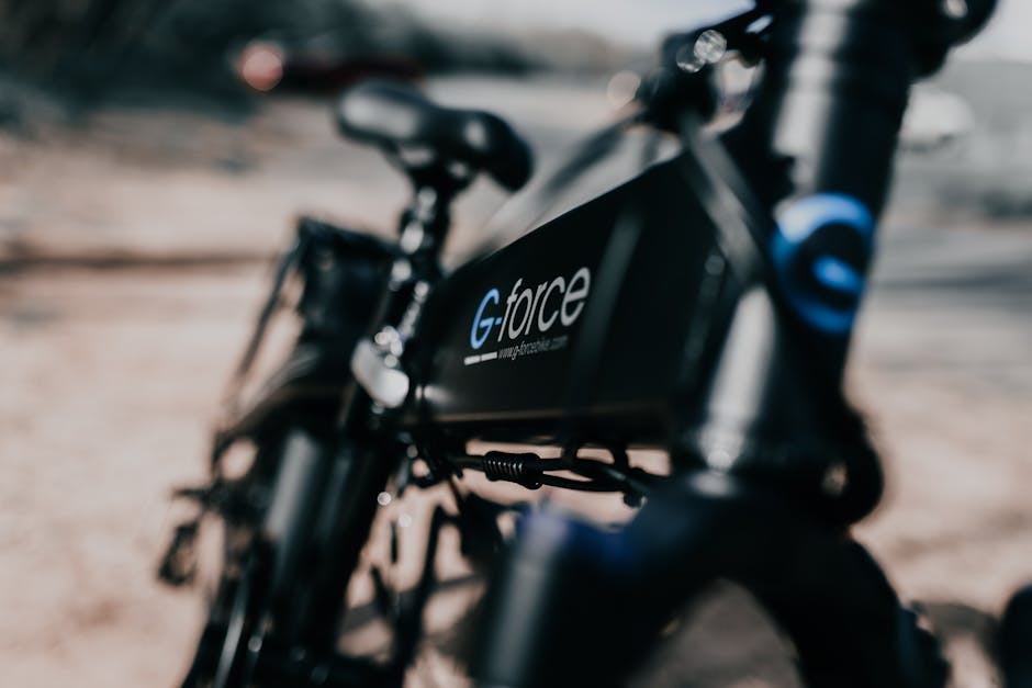 Chargeur scooter électrique - batterie vélo électrique